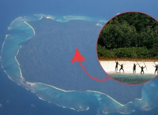 Dünyanın en izole kabilesinin olduğu Adaya ayak basmak yasak!