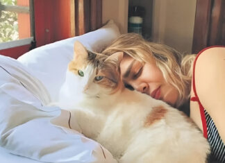 Sezen Aksu’yu yıkan haber