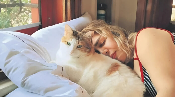Sezen Aksu’yu yıkan haber