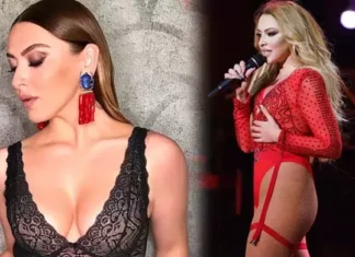 Hadise’ye büyük şok: Mal varlığı elinden gidecekti