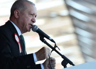 Cumhurbaşkanı Erdoğan’dan A Millî Erkek Basketbol takımına tebrik mesajı