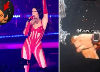 Hayranının eli yerinde durmadı, Dua Lipa’nın koruması müdahale etti