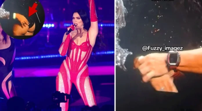 Hayranının eli yerinde durmadı, Dua Lipa’nın koruması müdahale etti