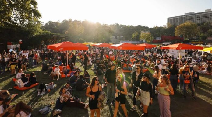 Festival zamanı