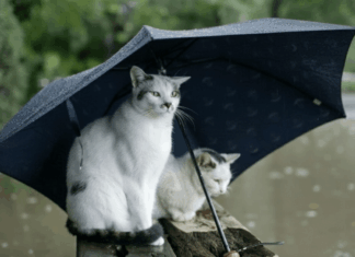Meteoroloji yeni hava durumu raporu! 32 ilde sağanak yağış