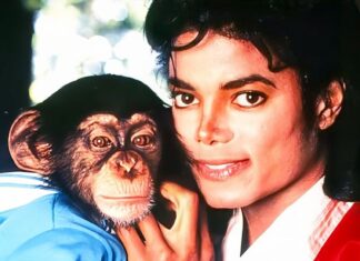 Michael Jackson’ın şempanzesi emekli hayatında