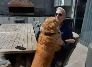 Şovmen Mehmet Ali Erbil can dostunu kaybetti