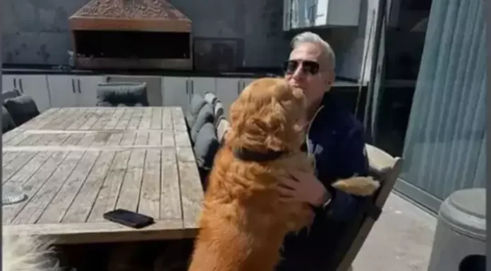 Şovmen Mehmet Ali Erbil can dostunu kaybetti