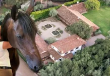 Genç yaşında zengin oldu… Milyonlarını at çiftliğine yatırdı