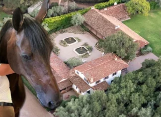 Genç yaşında zengin oldu… Milyonlarını at çiftliğine yatırdı