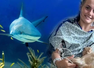 Her şey bir anda oldu: 30 saniye içinde ölmesi beklenirken hayatta kaldı