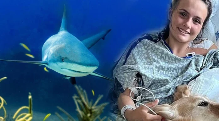 Her şey bir anda oldu: 30 saniye içinde ölmesi beklenirken hayatta kaldı