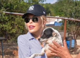 Hayvanlara şiddet görüntüleri tepki topladı