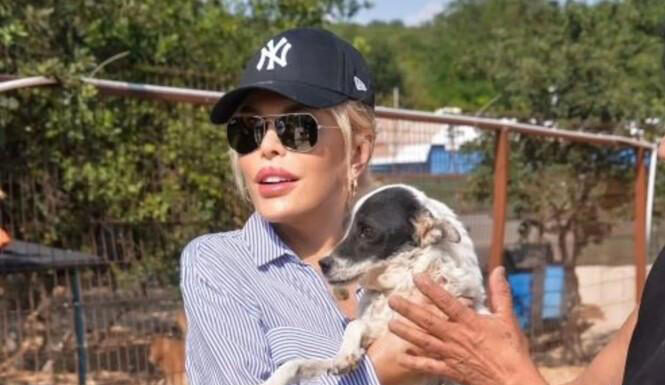 Hayvanlara şiddet görüntüleri tepki topladı