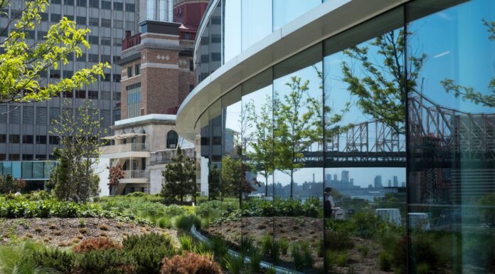 Tansiyonu düşüren yağ dokusu keşfedildi