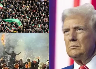 ‘Protestoya devam edin’