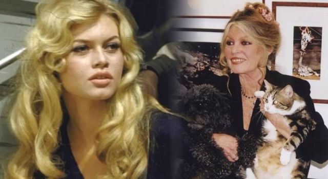 Brigitte Bardot servetini hayvanlara bıraktı