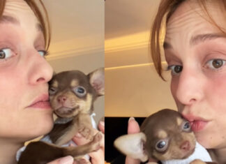 Nilperi Şahinkaya’nın köpeğine verdiği isim şaşırttı