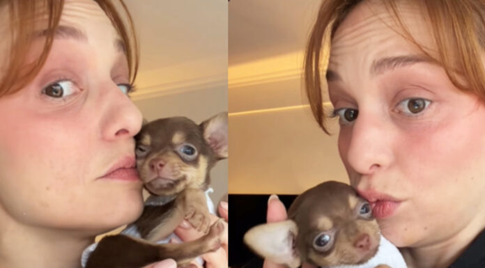 Nilperi Şahinkaya’nın köpeğine verdiği isim şaşırttı