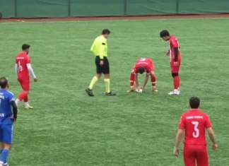 Martıya kalp masajı dünya medyasında