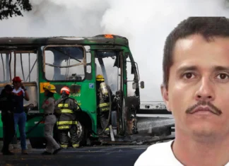 Avokado çiftçiliğinden kartel liderliğine