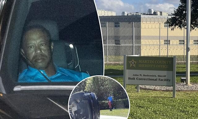 Tiger Woods gözaltına alındıktan sonra serbest bırakıldı
