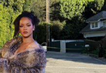 Beverly Hills’i Terk Etti