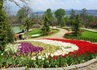 İstanbul çiçek açtı
