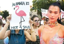 DUA LIPA’DAN FLAMİNGO DEVRİMİ’NE TAM DESTEK