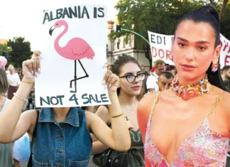 DUA LIPA’DAN FLAMİNGO DEVRİMİ’NE TAM DESTEK