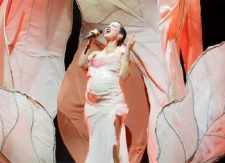 MELİKE ŞAHİN’İN BEBEĞİYLE SON KONSERLERİ