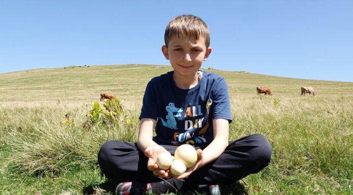 UFUK YILIN SIFIR ATIK BEKÇİSİ OLARAK SEÇİLDİ
