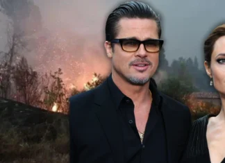 BRAD PITT’İN ŞATOSU YANGIN TEHDİDİ ALTINDA