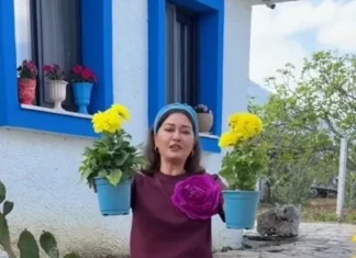 NURGÜL YEŞİLÇAY KÖY HAYATINI TERCİH ETTİ
