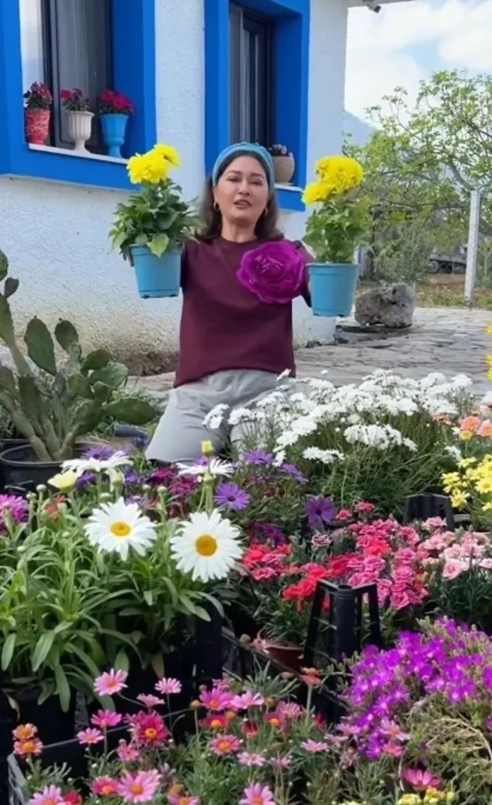 6aa64c253443bc75302b05df