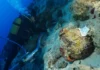BAKAN ERSOY KEKOVA’DAKİ TARİHİ BATIĞI DUYURDU