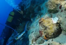 BAKAN ERSOY KEKOVA’DAKİ TARİHİ BATIĞI DUYURDU